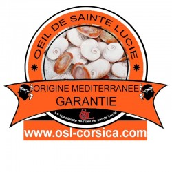 Pendentif doré à l'or fin  POSPC244MEDI