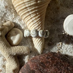 Alliance Argent SRC136BIS