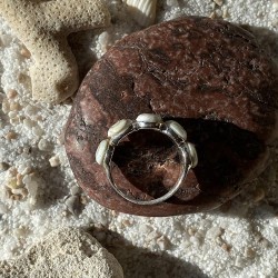 Alliance Argent SRC136BIS