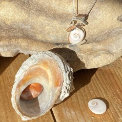 Pendentif Argent SPC48738bicolor