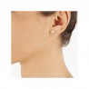 Boucles d'oreilles Clou Acier BOUTSEC048MEDI