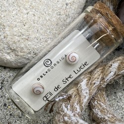 Boucles d'oreilles Clou Acier BOUTSEC048MEDI