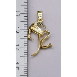 Pendentif doré à l'or fin Testa Mora 2021 XS