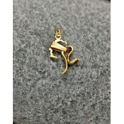 Pendentif doré à l'or fin Testa Mora 2021 XS