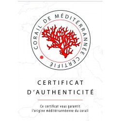 Bracelet œil de Ste Lucie et corail SBC236COR-ARG