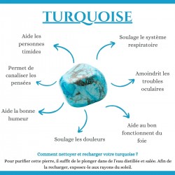 Bracelet œil de ste Lucie et pierres naturelles SBC146