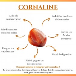 Bracelet œil de ste Lucie et pierres naturelles SBC145