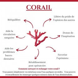 Bracelet oeil et corail SBC016COMEDI