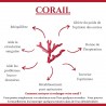 Bracelet Corail BR00054