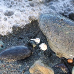 Bague Réglable SRC178-ARG